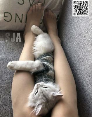 miya免费观看黄片_超清电影在线看