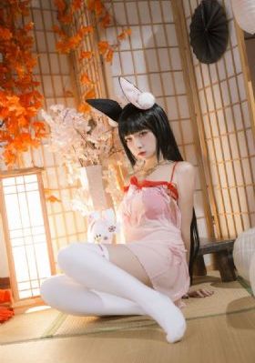 91免费毛片_DVD手机免费观看完整